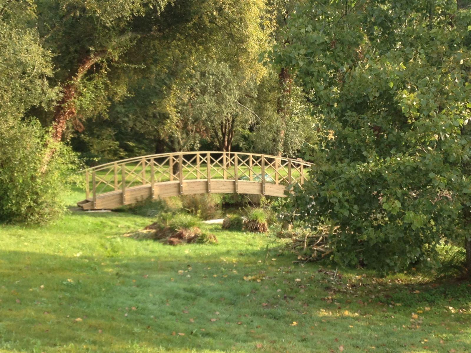 Passerelle en bois au milieu d'un jardin arboré